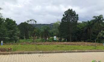 Imagem 2: Terreno com 3 Dormitorio(s) localizado(a) no bairro BR116 em Nova Petrópolis / RIO GRANDE