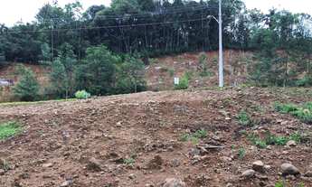 Imagem 3: Terreno com 3 Dormitorio(s) localizado(a) no bairro BR116 em Nova Petrópolis / RIO GRANDE