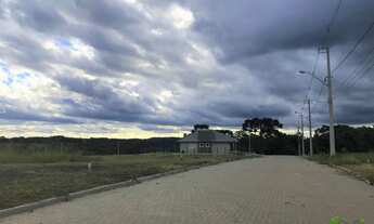 Imagem: Terreno com 3 Dormitorio(s) localizado(a)