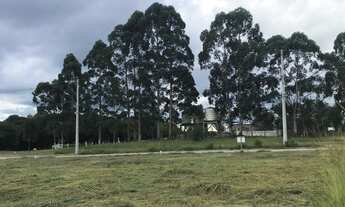 Imagem 4: Terreno com 3 Dormitorio(s) localizado(a) no bairro Linha Imperial em Nova Petrópolis / R