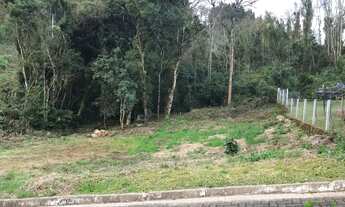 Imagem 2: Terreno com 3 Dormitorio(s) localizado(a) no bairro BR116 em Nova Petrópolis / RIO GRANDE