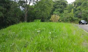 Imagem: Terreno com 3 Dormitorio(s) localizado(a)