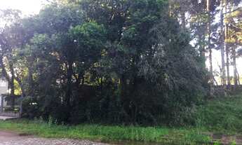 Imagem 3: Terreno com 3 Dormitorio(s) localizado(a) no bairro Juriti em Nova Petrópolis / RIO GRAND