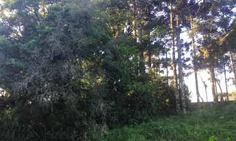 Imagem 4: Terreno com 3 Dormitorio(s) localizado(a) no bairro Juriti em Nova Petrópolis / RIO GRAND