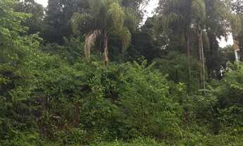 Imagem 6: Terreno com 3 Dormitorio(s) localizado(a) no bairro Bavária em Nova Petrópolis / RIO GRAN