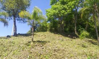 Imagem 3: Terreno com 3 Dormitorio(s) localizado(a) no bairro Bavária em Nova Petrópolis / RIO GRAN