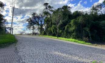 Imagem: Terreno com 3 Dormitorio(s) localizado(a)