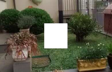 Imagem 2: Casa Térrea Moinho de Ventos - Ótima Localização