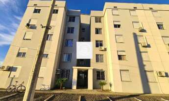 Imagem: Apto 02 dormitório - Olaria