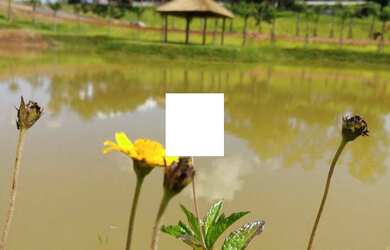 Imagem 2: Terreno Reservas do Lago