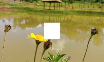 Imagem 2: Terreno Reservas do Lago