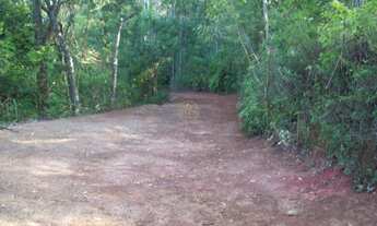 Imagem 5: Terreno com 3 Dormitorio(s) localizado(a) no bairro Rodovia dos Tamoios em Jambeiro / SÃO