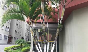 Imagem 3: Apartamento com 2 Dormitorio(s) localizado(a) no bairro VILA LUTÉCIA em SANTO ANDRÉ / SÃO