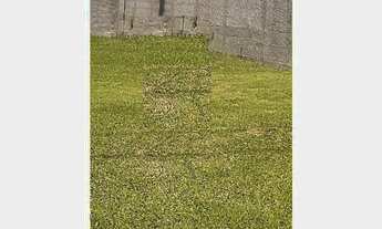 Imagem: Terreno com 3 Dormitorio(s) localizado(a)