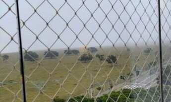 Imagem 3: Apartamento com 3 Dormitorio(s) localizado(a) no bairro Parque Residencial Aquarius em Sã