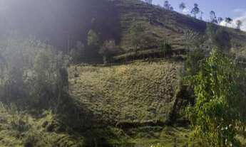 Imagem: Terreno com 3 Dormitorio(s) localizado(a)