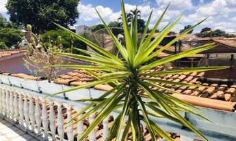 Imagem: Casa com 3 Dormitorio(s) localizado(a) no