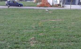 Imagem: Terreno com 2 Dormitorio(s) localizado(a)