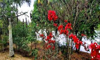 Imagem 7: Terreno com 3 Dormitorio(s) localizado(a) no bairro VILA GALVÃO em Caçapava / SÃO PAULO R