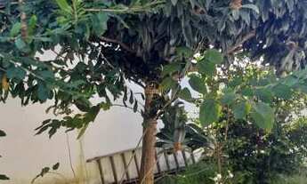 Imagem 2: Ótimo Sobrado em Jacareí- Villa Branca