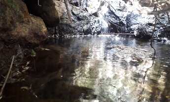 Imagem 2: Terreno São Francisco Xavier 3 Alqueires