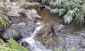 Imagem 3: Terreno São Francisco Xavier 3 Alqueires