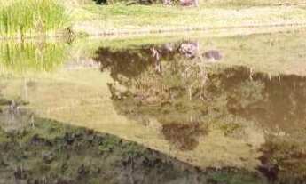 Imagem 6: Terreno São Francisco Xavier 33 Mil Metros