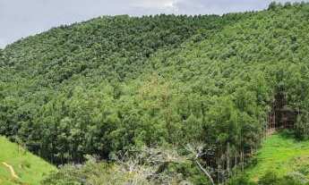 Imagem 2: Fazenda em Paraibuna 72 alqueires