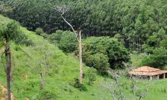 Imagem 5: Fazenda em Paraibuna 72 alqueires