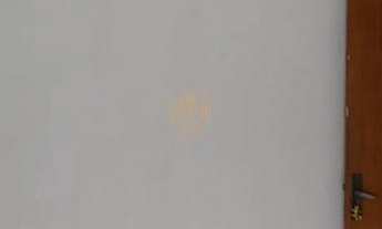 Imagem 6: Casa no Jardim das Industrias