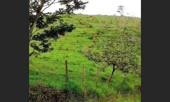 Imagem: Ótima Oportunidade Sítio