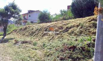 Imagem 4: Terreno à venda em Imigrante Norte, Campo Bom