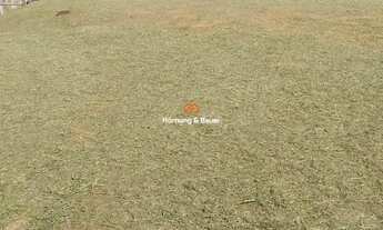 Imagem 2: Terreno pronto para construir! À venda em Campo Bom, bairro Blumenburg