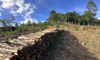 Imagem 3: Área de terras rural à venda em Novo Hamburgo - Lomba Grande!