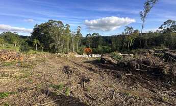 Imagem 4: Área de terras rural à venda em Novo Hamburgo - Lomba Grande!