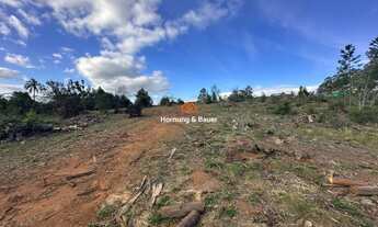 Imagem 5: Área de terras rural à venda em Novo Hamburgo - Lomba Grande!