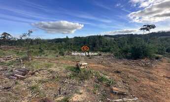 Imagem 7: Área de terras rural à venda em Novo Hamburgo - Lomba Grande!