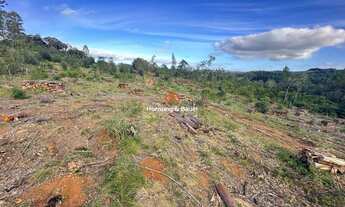 Imagem 6: Área de terras rural à venda em Novo Hamburgo - Lomba Grande!