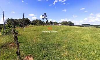 Imagem 3: Área de terras em Capela de Santana, Bairro Vila Flores