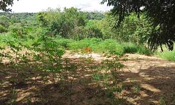 Imagem 6: CHÁCARA EM PORTÃO