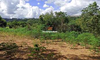 Imagem 4: CHÁCARA EM PORTÃO