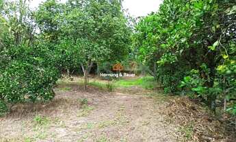 Imagem: CHÁCARA EM PORTÃO