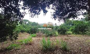 Imagem 6: CHÁCARA EM PORTÃO