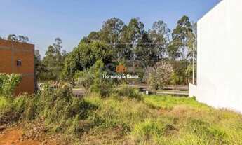 Imagem 4: Terreno à venda em Novo Hamburgo - Bairro Ideal