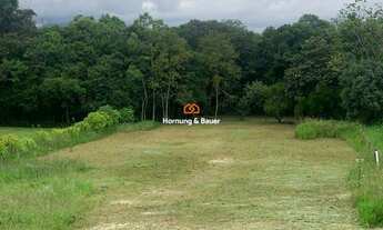 Imagem: Terreno no bairro Quatro Colonias em Campo