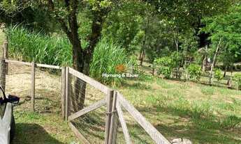 Imagem 6: Terreno no bairro Quatro Colonias em Campo Bom