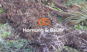 Imagem 4: Terreno no Bairro Ouro Branco em Novo Hamburgo