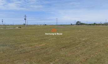 Imagem 5: Terrenos em Terras de Areia em Nova Curumim