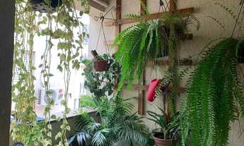 Imagem: APARTAMENTO A VENDA JD ZARA