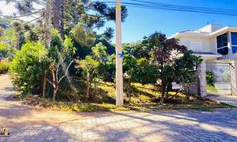 Imagem 2: Terreno baldio disponível para venda em São Luiz, Caxias do Sul - Confira!